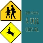 Deer and Dear crossing safety raod sign
